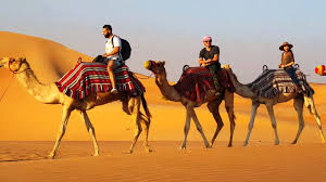 Rajasthan Tour